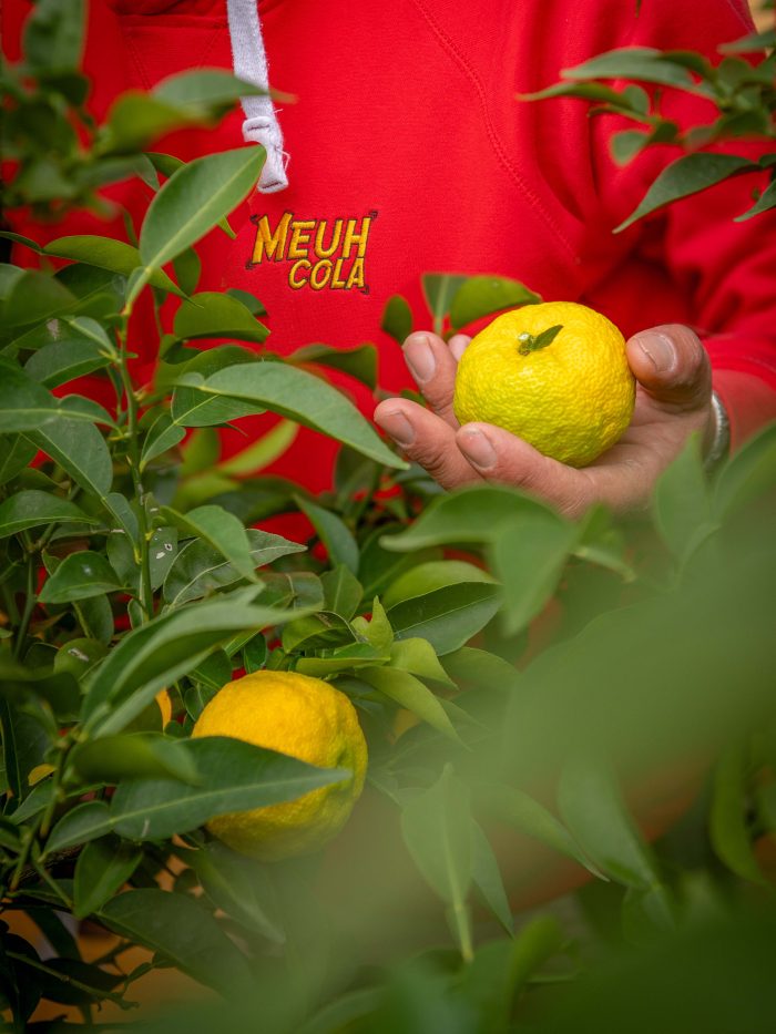 La LiMeuhnaderie - Boissons artisanales de Normandie