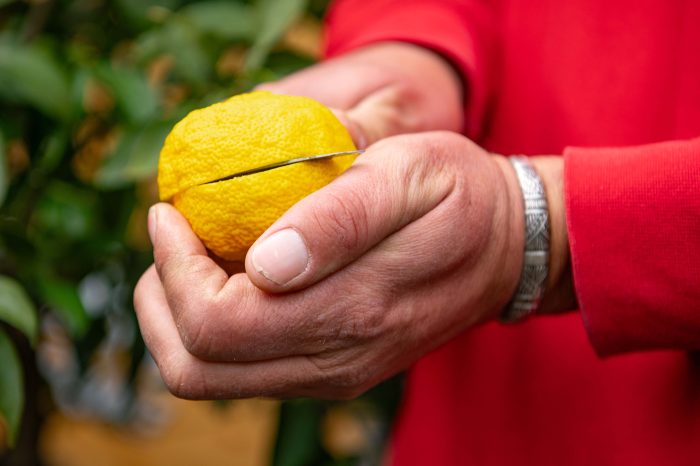 La LiMeuhnaderie - Boissons artisanales de Normandie